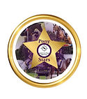 PSS Round Logo.jpeg