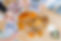 236877485_934301300486930_3429635824363906609_n.jpg