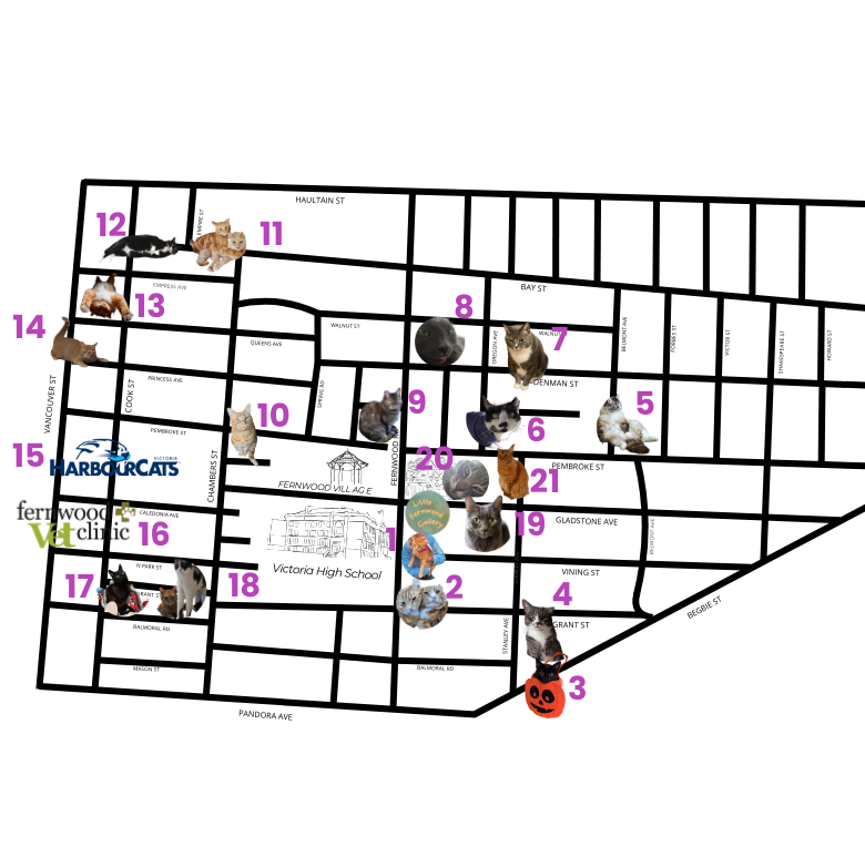 Fernwood Cat Walk Map - Mobile Map (390 x 391 px).png