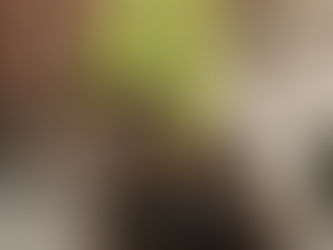 Top 8 Unexpected Color Combos for Fall/Winter '25-'26