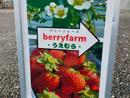 直売所OPENしました！