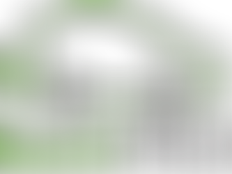 Electride Mobility Services LLP: Pioneering Affordable and Clean Energy Solutions