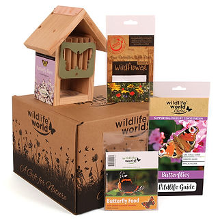 506544-For-the-Love-of-Butterflies-Gift-