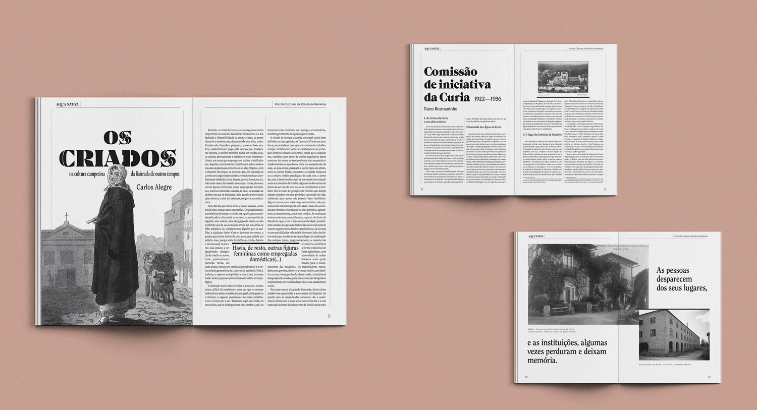 layout-Aqua-Wix.gif