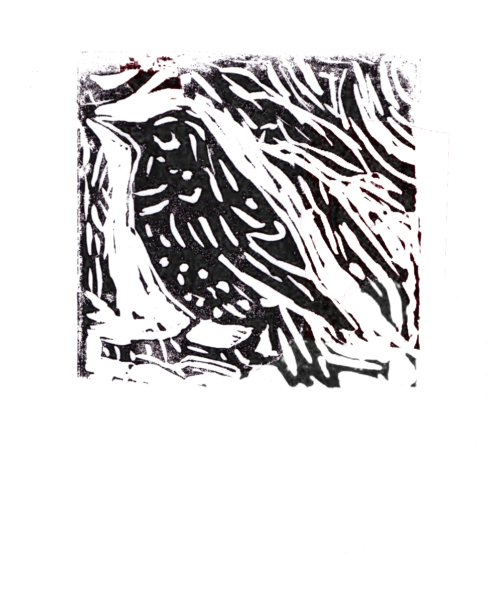 Crow-Gif.gif