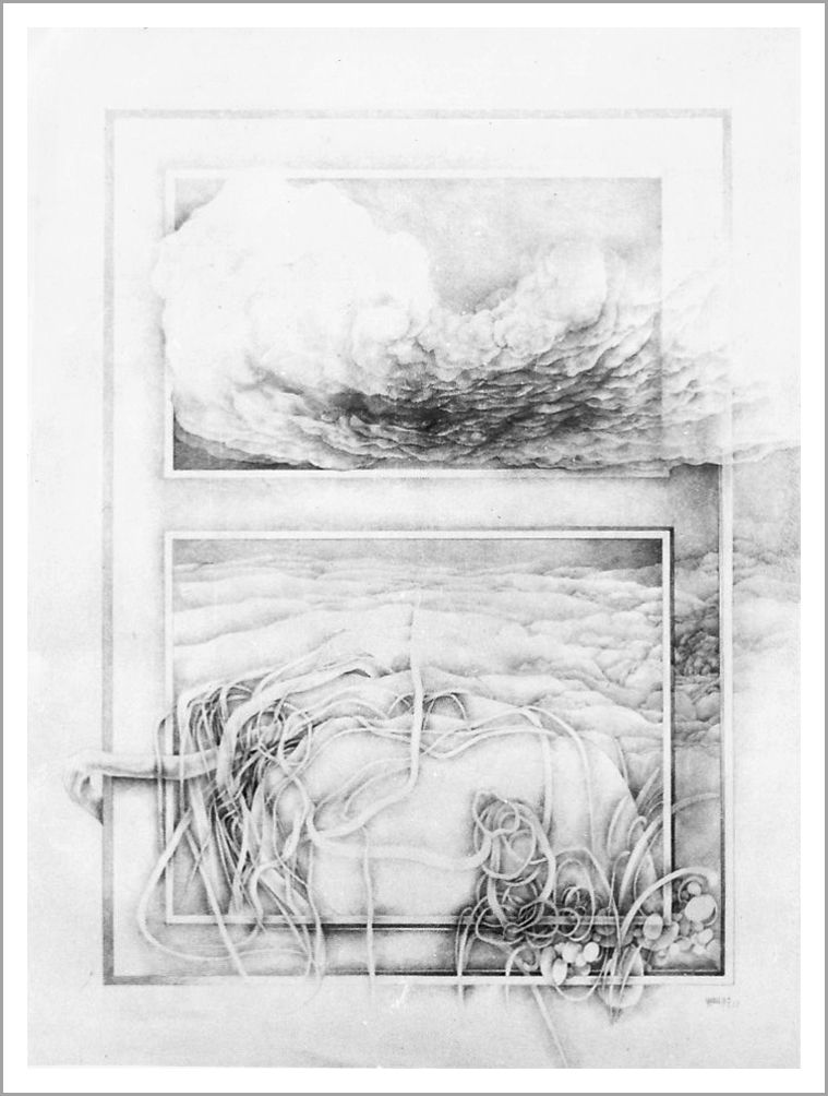 1977.65x50cm