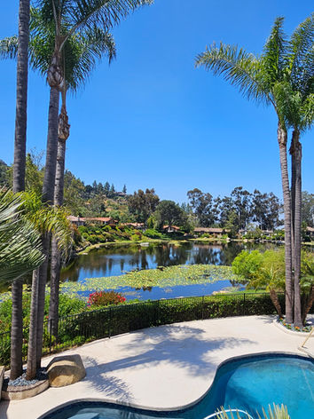 Freshly trimmed queen palm trees by poolside overlooking lake in Mount Helix, La Mesa CA