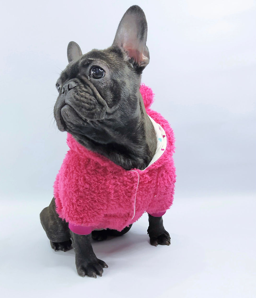 Miniatura: Campera Orejitas Soft Fucsia