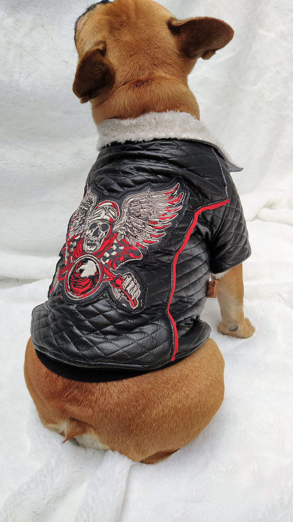 Miniatura: Campera Rockstar