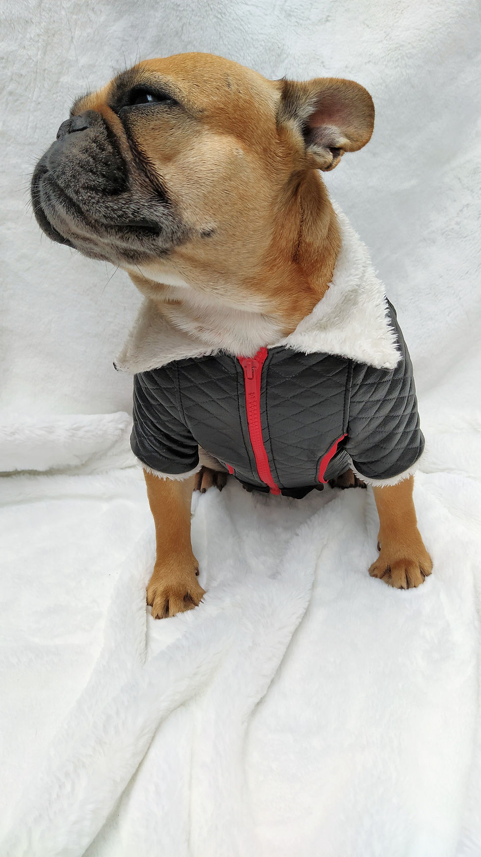 Miniatura: Campera Rockstar