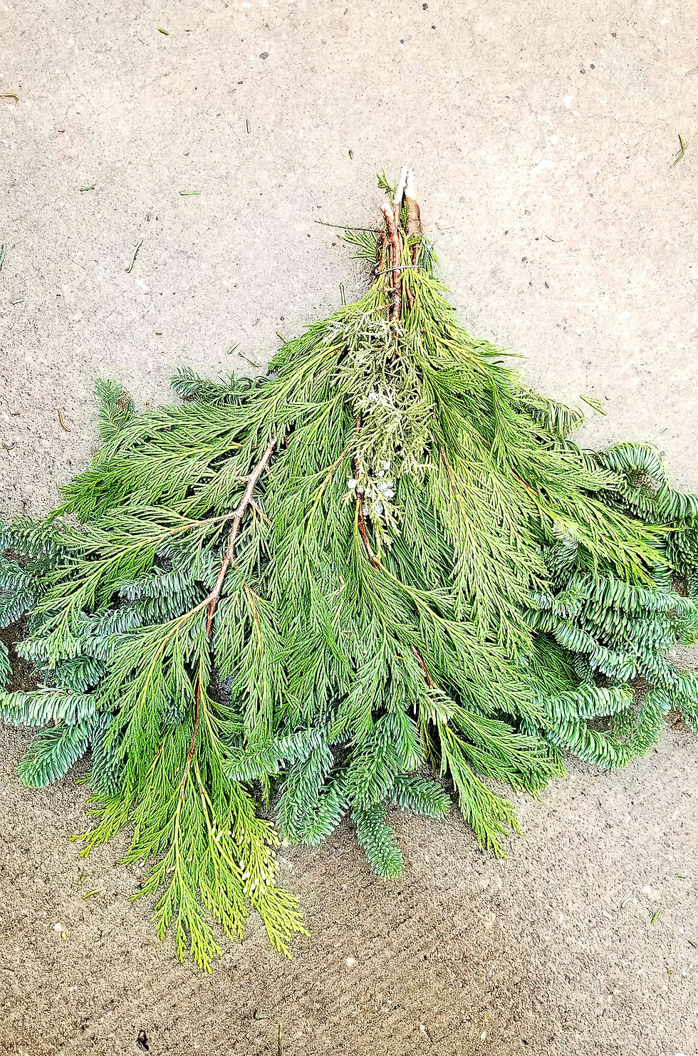 Thumbnail: Fresh Cut Fraser Fir Bunch