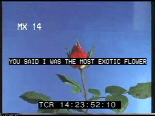 1519495321_tumblr_mzm87oxFcw1s6jvbvo1_50