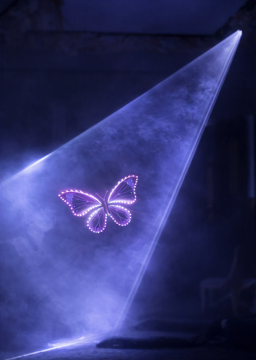 The Butterfly Experience