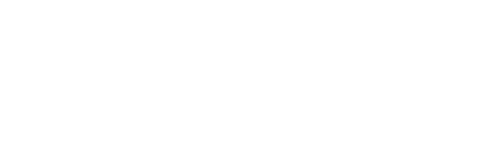 Asset 240.png