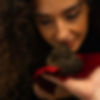 Il profumo del tartufo