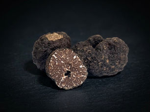 Tuber mesentericum vitt. Tartufo nero ordinario