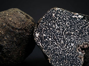 Tuber brumale vitt. Tartufo moscato
