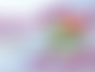 Plan Pareer-Crece a día de hoy