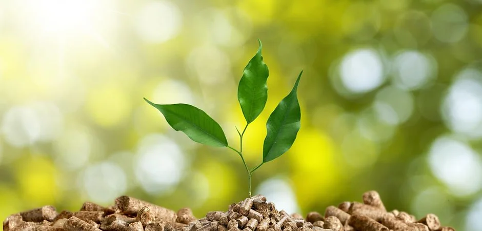 Ana Sayfa Biomass Enerji Teknolojileri