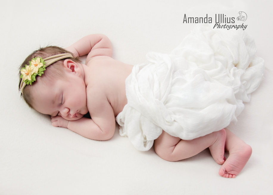 Newborn Portrait