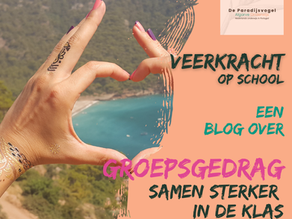 Groepsgedrag en Veerkracht: Samen Sterker in de Klas