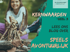 De Noodzaak van Spelenderwijs Leren: De Kracht van Avontuurlijk Leren voor de Ontwikkeling van Kinderen