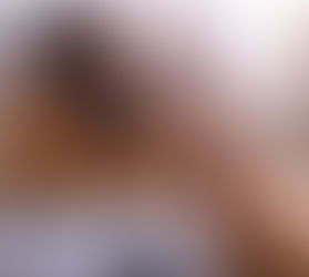 Start training with your dog today