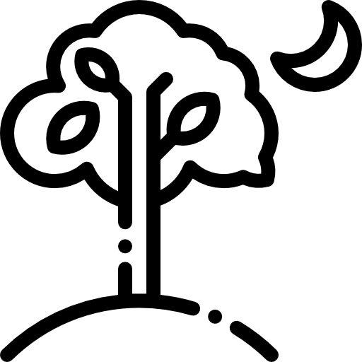 tree.png