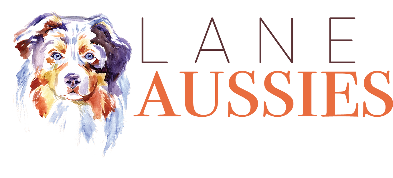 lane-aussies-horizontal (1).png