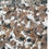 Miniatura: Flake chips blend 