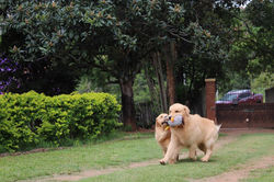 49ee584b-3020-4f63-80c8-01072aad0939