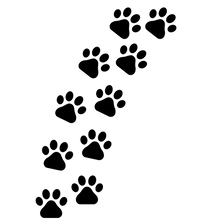 PNG-patinhas.png