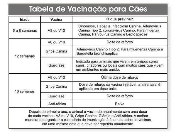 calendario-de-vacinacao-caes.jpg
