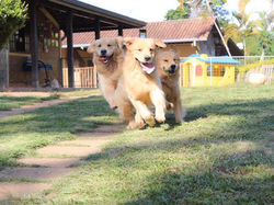 1a631e63-5f4b-4e7d-93d7-6086772f6d54