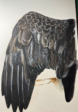 Bird 3.jpeg