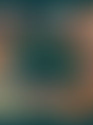 Making the Picture Book: A Little Bit of Everything