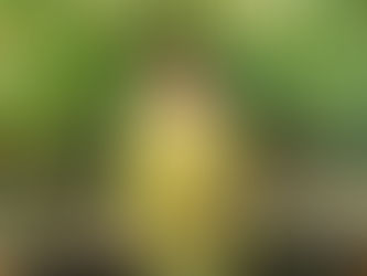 Farahdhiya Kembali Dengan Lagu Raya “Eh Ah! Raya” Yang Confirm Buat Mood Syawal On!