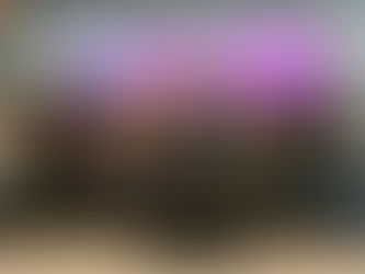 Art of Speed 2026 Gegar MAEPS Dengan Festival SoundCircus