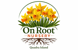 ChatGPT Image Apr 1, 2026, 04_45_10 PM.png