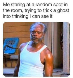 ghosts meme 3
