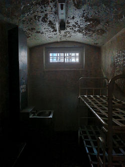 20240905_180832 - Copy