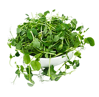 pea shoot bowl.png