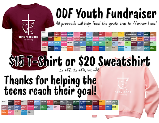 Shirt Fundraiser.png