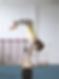 Gymnastique Pratiquer fille