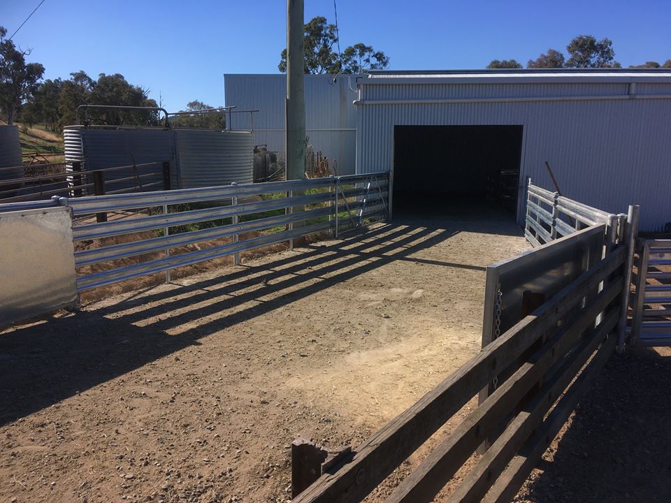 shearing shed masteel