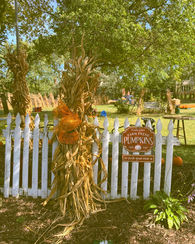 DeLair's cornstalk farm