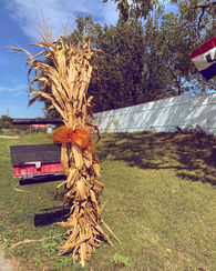 DeLair's Cornstalk Farm