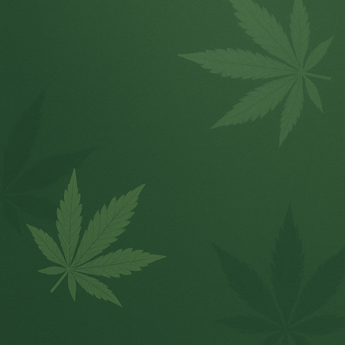 website background.png