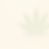 wix background.png