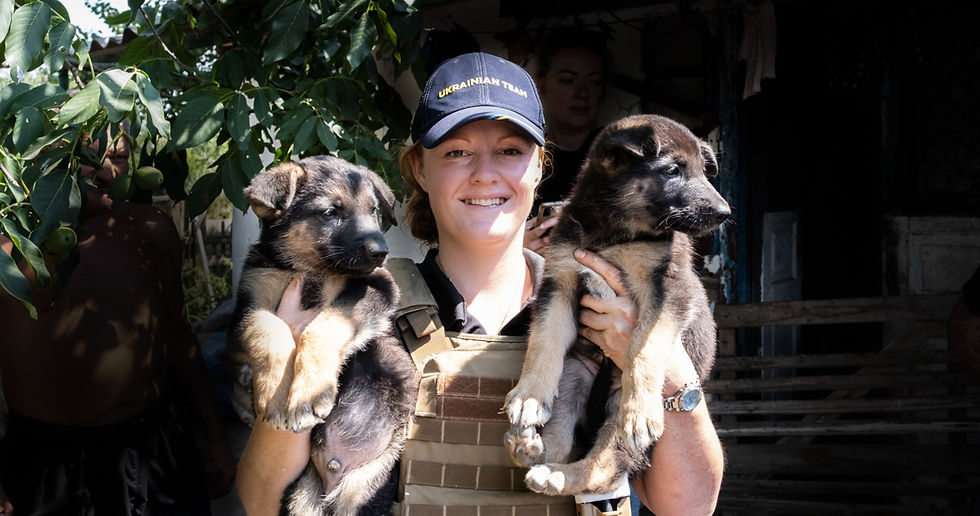 Gemma and pups brushed black back_edited.jpg